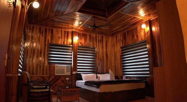 Люкс Deluxe Homocation Kadambini Jungle Resort