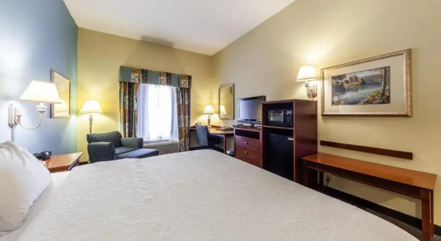 Двухместный номер Premium Hampton Inn Martinsburg South-Inwood