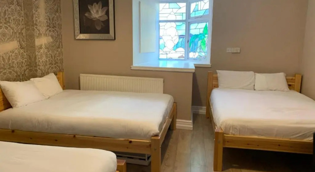 Полулюкс New Union ADULTS ONLY