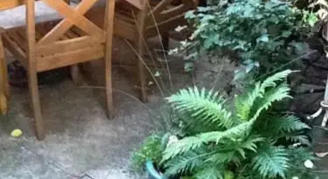 Rousseau's Garden, Prenota Hotel San Anselmo Marin County