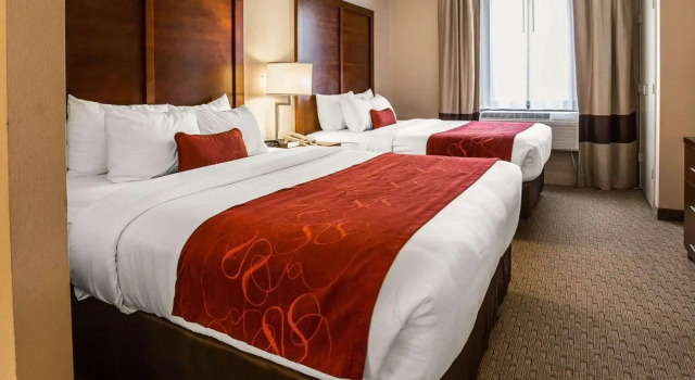 Четырёхместный люкс Spark by Hilton Stafford Sugar Land