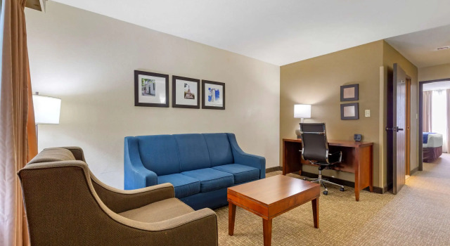 Двухместный люкс Comfort Suites Fredericksburg South