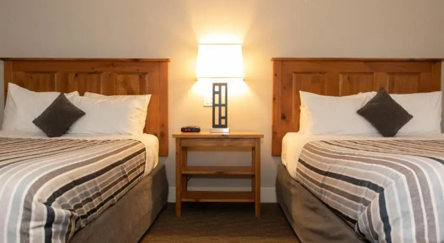 Standard quadruple chambre Red Tree Lodge
