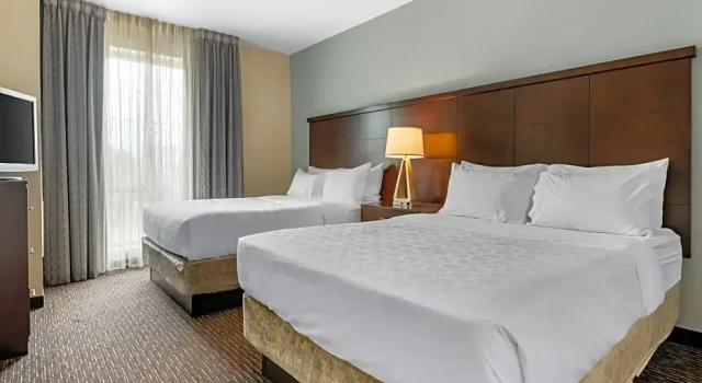 Четырёхместный люкс c 1 комнатой Staybridge Suites St. Petersburg FL by IHG