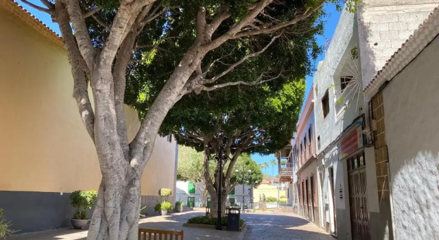 Апартаменты Apartamento en Arona pueblo para 4 personas