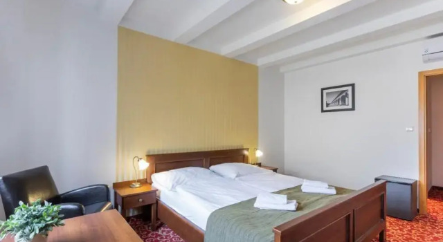 Двухместный номер Standard Hotel U Zlatého kohouta