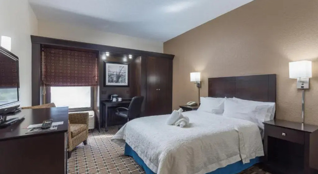 Номер Standard Spark by Hilton Tampa Brandon