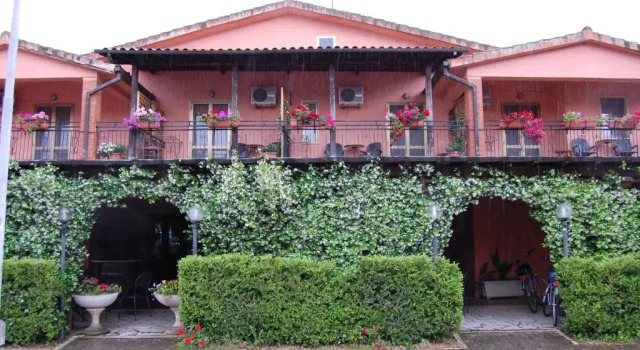 Номер Economy Hotel La Mimosa