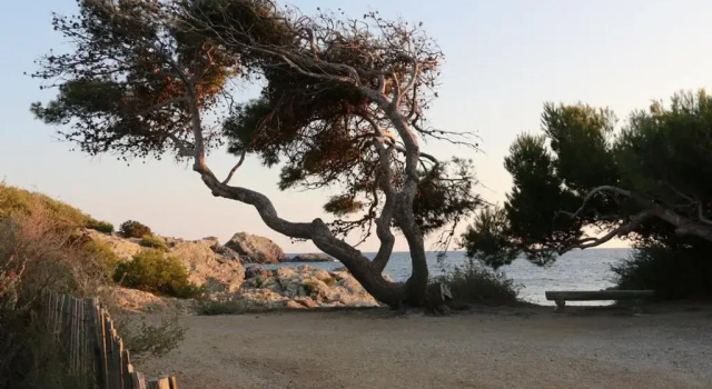 33 Avenue Joseph Roumanille, Rezervasyon Daire Var coast otoparklı oteller, Otopark