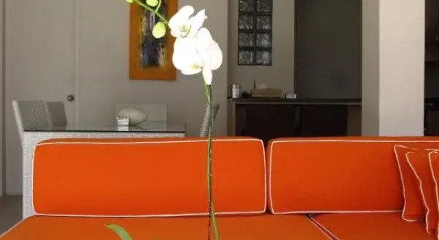 Sunshoot Villa Sandat
