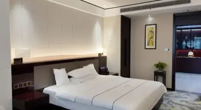 Люкс Xinyi Hotel (Changzhou Oriental Salt Lake ResortStore)
