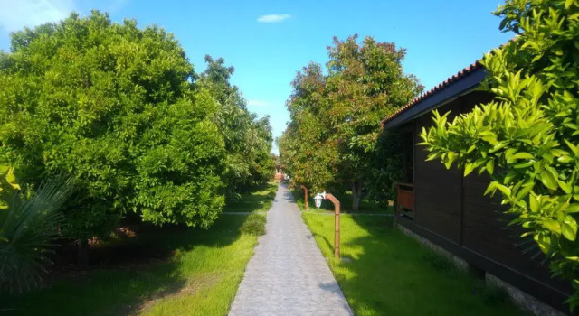 Бунгало Apella Hotel