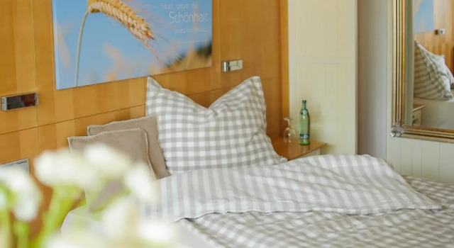 Номер Standard Biohotel Mohren