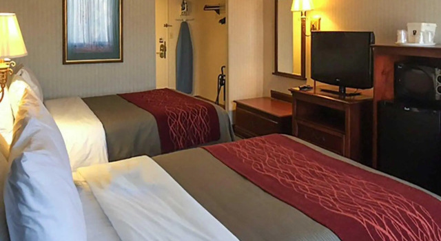 Четырёхместный номер Standard Comfort Inn Springfield