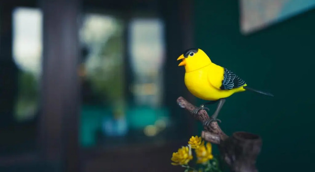 Двухместный номер Standard Nature Shelter Hotel