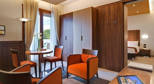 Люкс Standard Continental Terme Hotel