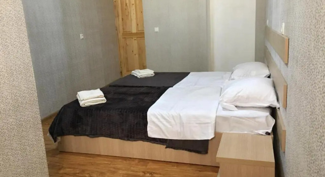 Двухместный номер Deluxe Teo Guesthouse in Mestia