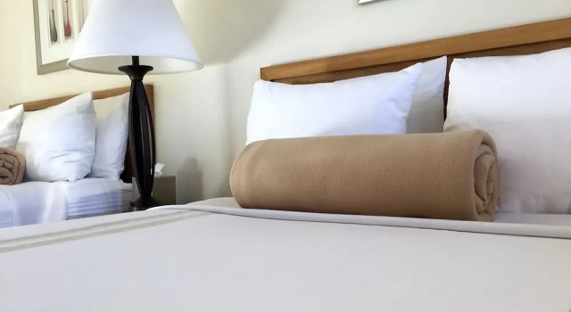 Четырёхместный номер Standard Parkview Inn Motel
