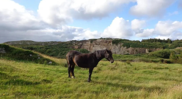 Коттедж Shanakeever Farm - Clifden Country Homes - Bookable as 2 and 3 bedroomed