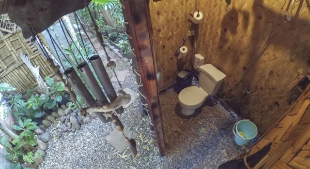 Коттедж Bamboo Nest