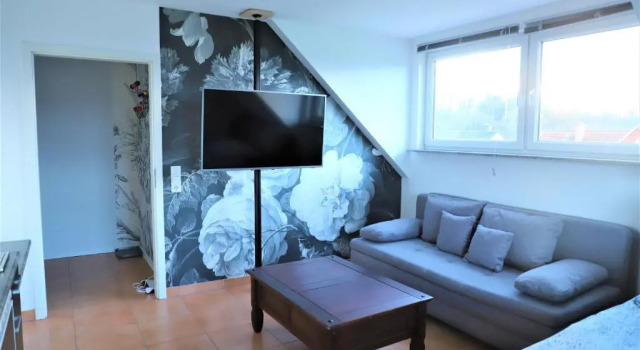 Апартаменты Superior Art & Nature Apartments in der Nähe FFM-Messe