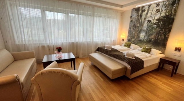 Двухместный номер Deluxe Hotel-Restaurant Liebnitzmühle