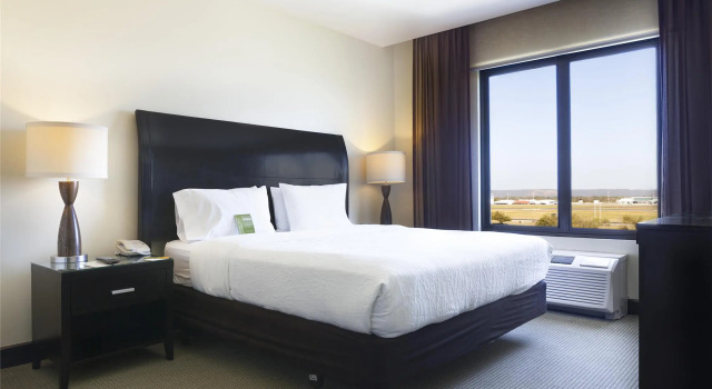 Двухместный номер Standard Hilton Garden Inn Guanacaste Airport