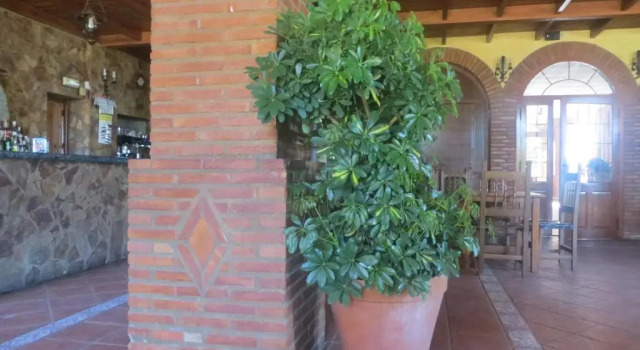 Hostal Campoabierto, Забронировать Отель Отели Badajoz Province с парковкой, Парковка