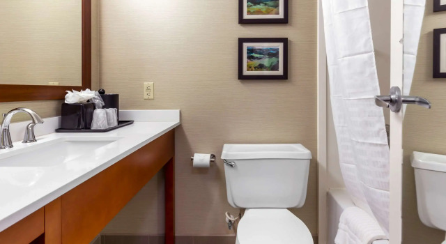 Четырёхместный номер Standard Comfort Inn University Durham - Chapel Hill