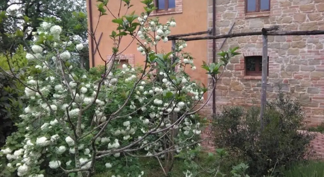 Terra di Magie, Rezervovat Hotel Amandola 