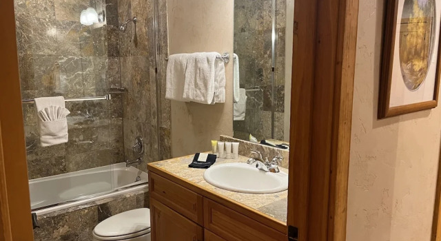 Номер Standard c 1 комнатой Bear Creek Lodge 107a 1 Bedroom Condo by Alpine Lodging Telluride