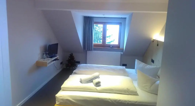 Двухместный номер Standard Berghotel Pöhlberg