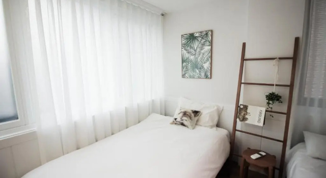 Студия Deluxe Oasis Y Stay Hongdae