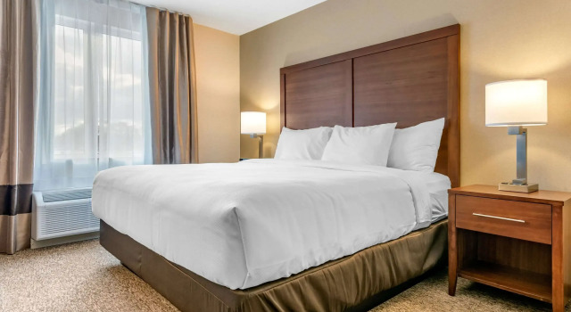 Двухместный люкс Comfort Inn & Suites