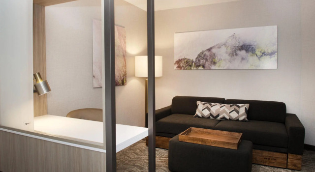 Двухместный люкс SpringHill Suites by Marriott Seattle Issaquah