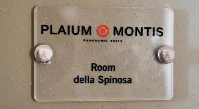 Семейный полулюкс Plaium Montis