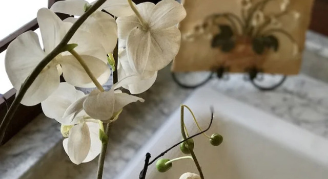 Двухместный коттедж Hale Maluhia Country Inn