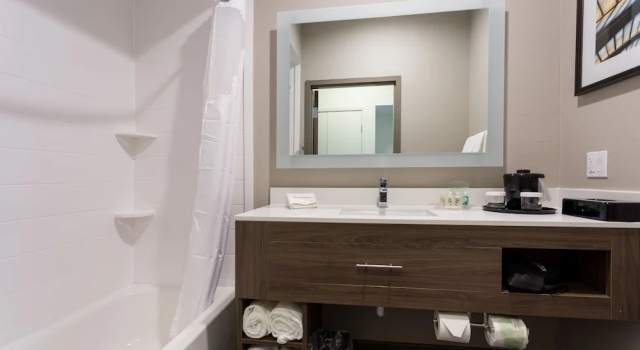 Двухместный номер Deluxe Holiday Inn San Marcos Convention Center by IHG