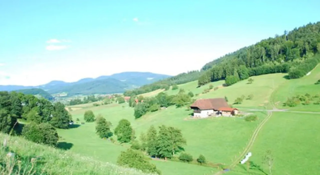 Двухместный номер Economy Hotel Garni Bergblick