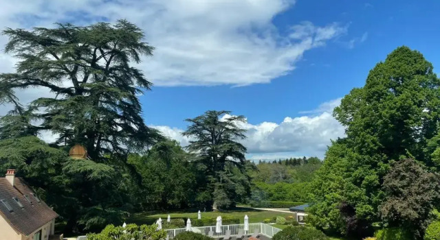 Номер Superior Hôtel & Restaurant - Le Manoir des Cèdres - piscine extérieure et climatisation