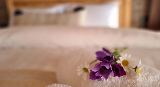 Номер Deluxe Amber Suites Akyaka +6
