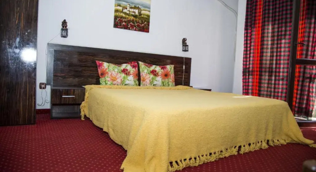 Двухместный номер Standard Family Hotel Emaly 2