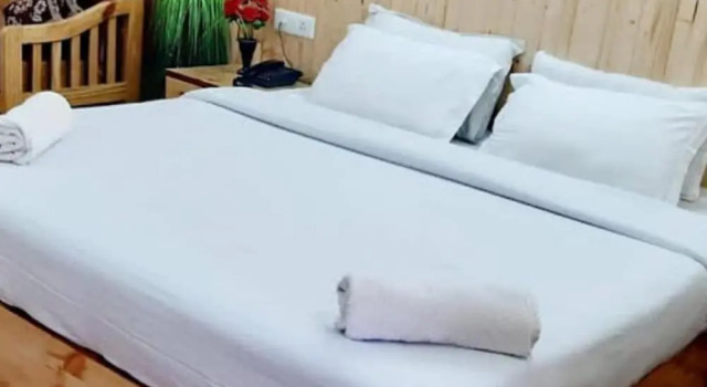 Двухместный номер Superior Goroomgo Himsutra shimla