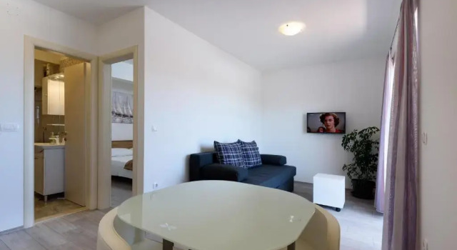 Апартаменты c 1 комнатой с балконом Apartments Robi