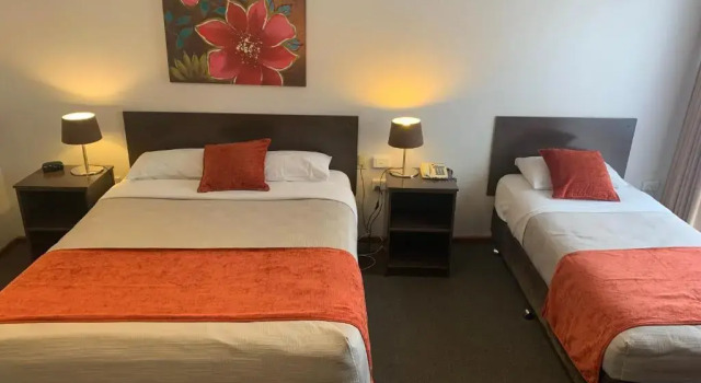 Двухместный номер Executive Ploughmans Motor Inn