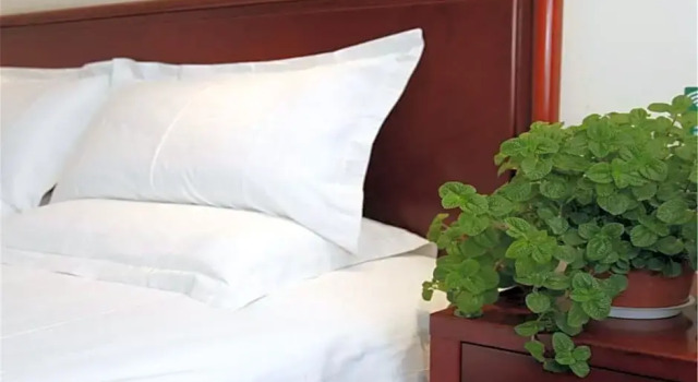 Семейный номер Standard GreenTree Inn Beijing Haidian Shijingshan North China University of Technology Express Hotel