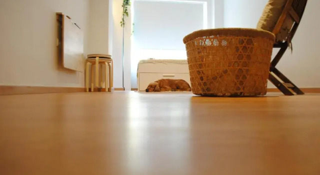 Апартаменты Kinfeels' downtown apartment B1