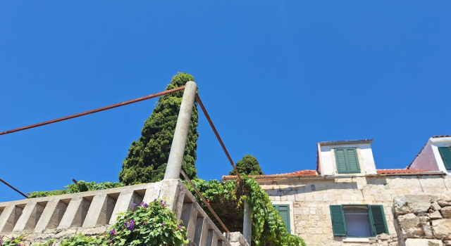 Apartments Neptun, Prenota Appartamento Maslinica 