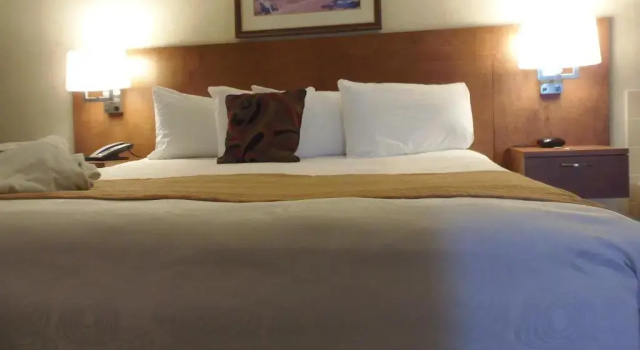 Четырёхместный номер Executive Rosslyn Inn & Suites