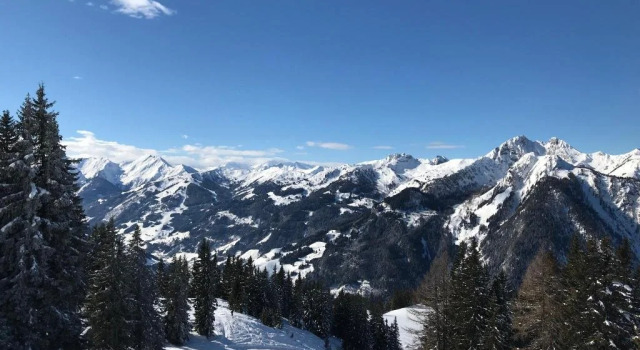 Pension Zum wilden Hannes